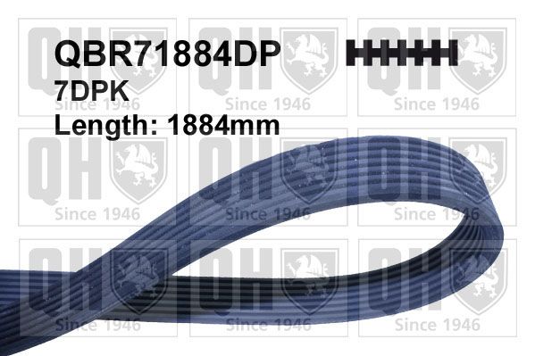 QUINTON HAZELL Поликлиновой ремень QBR71884DP